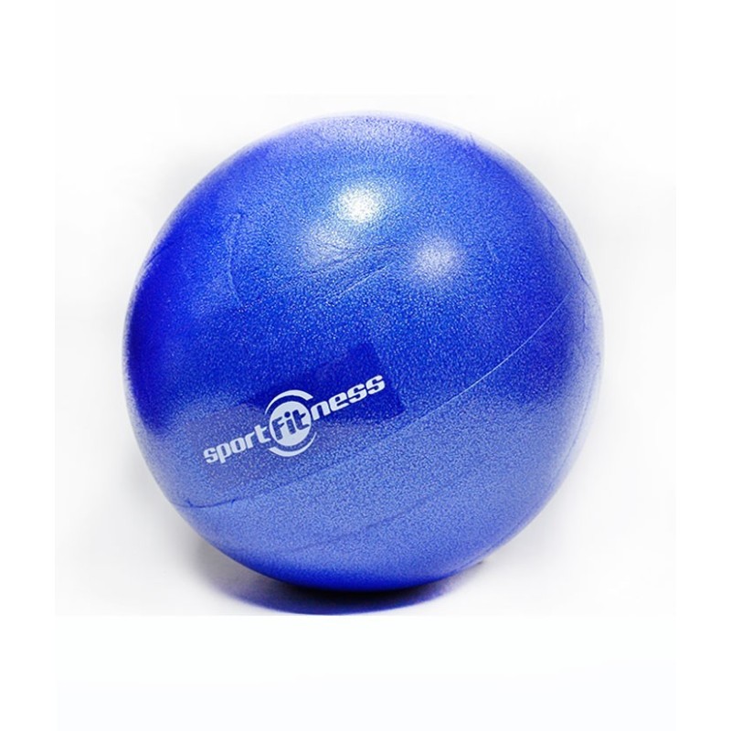 Gym Ball Sport Fitness 55 cm